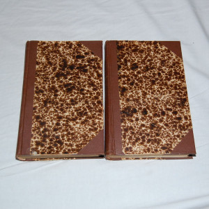 Wilkie Collins Valkopukuinen nainen 1-2